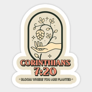 Christian Apparel - Bloom where you are planted - Corinthians 7:20 Sticker